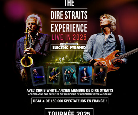 THE DIRE STRAITS EXPERIENCE